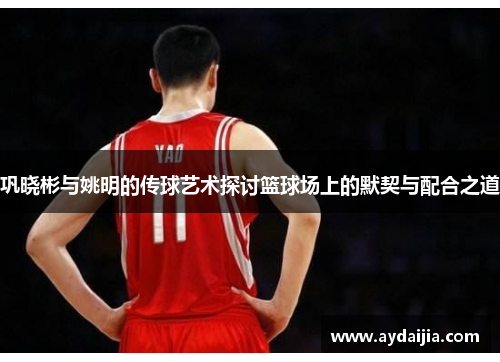 巩晓彬与姚明的传球艺术探讨篮球场上的默契与配合之道