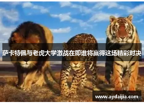 萨卡特佩与老虎大学激战在即谁将赢得这场精彩对决